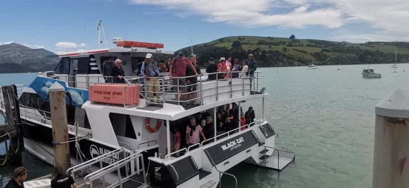 From Christchurch: Akaroa Day Tour with Optional Cruise - The Sum Up