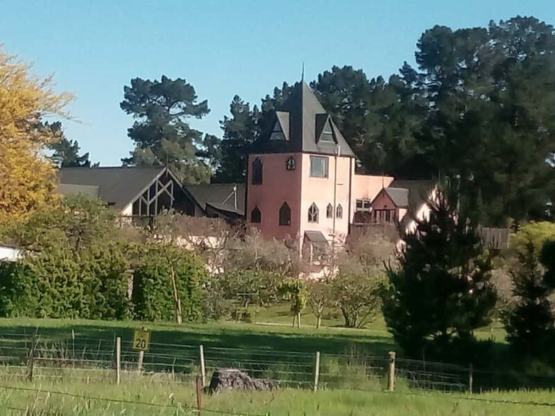 From Christchurch: Guided Local Wine Tours in Waipara - Key Points
