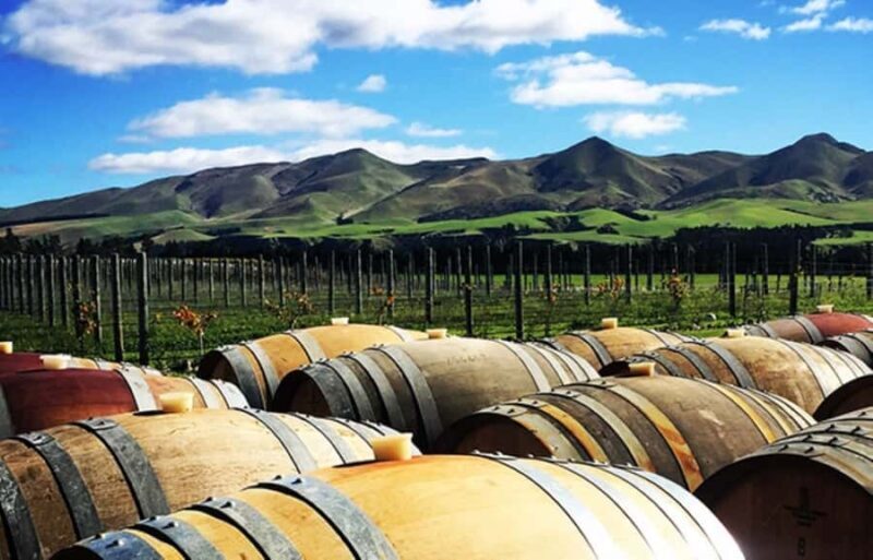 From Christchurch: Guided Local Wine Tours in Waipara - An In-Depth Look at the Waipara Valley Guided Wine Tour
