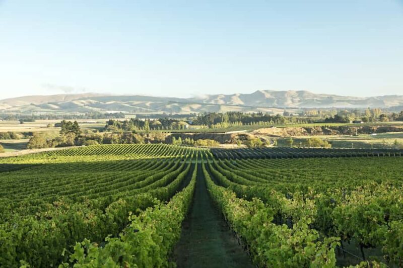 From Christchurch: Guided Local Wine Tours in Waipara - Frequently Asked Questions
