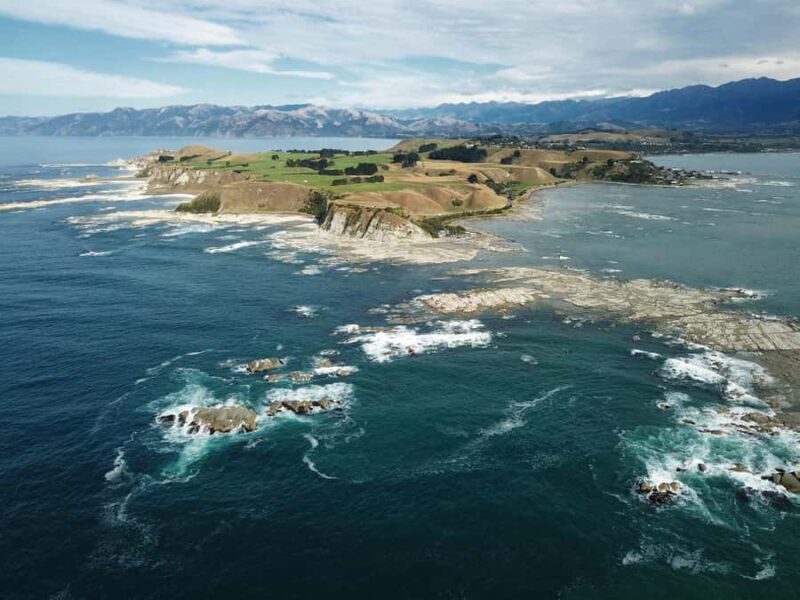 From Christchurch: Kaikura Day Tour With Dolphin Encounter - Key Points