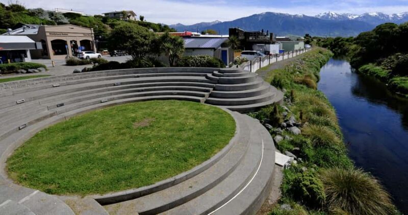 From Christchurch: Kaikura Day Tour with Whale Watching - Final Thoughts