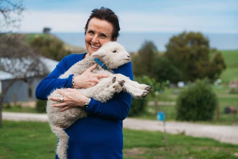 From Christchurch: Sheep Farm Experience with Lunch & Winery - An Authentic Taste of Kiwi Farming and Flavour