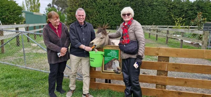 From Christchurch: Sheep Farm Experience with Lunch & Winery - The Sum Up