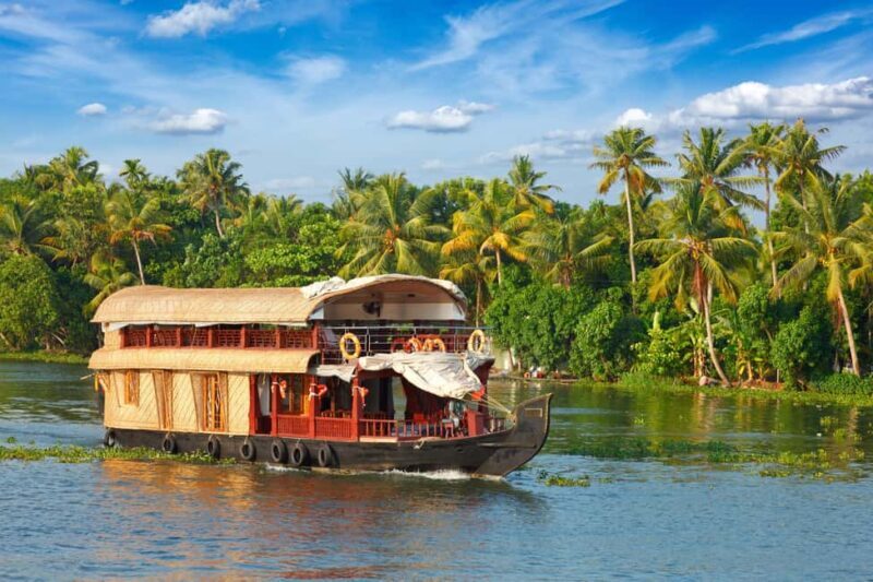 From Cochin: 5 Day Private Kerala Tour with 3 & 4 Star Hotel - What Makes This Tour Stand Out