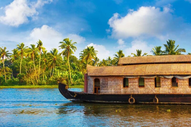 From Cochin: Alleppey Houseboat Day Tour with Lunch - Who Is This Tour Best For?