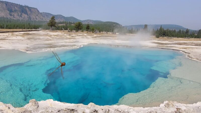From Cody: Full-Day Yellowstone National Park Tour - Final Thoughts: Is This Tour Right for You?