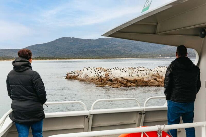 From Coles Bay: Wineglass Bay Cruise with Lunch - The Guides and Commentary: Unlocking the Secrets