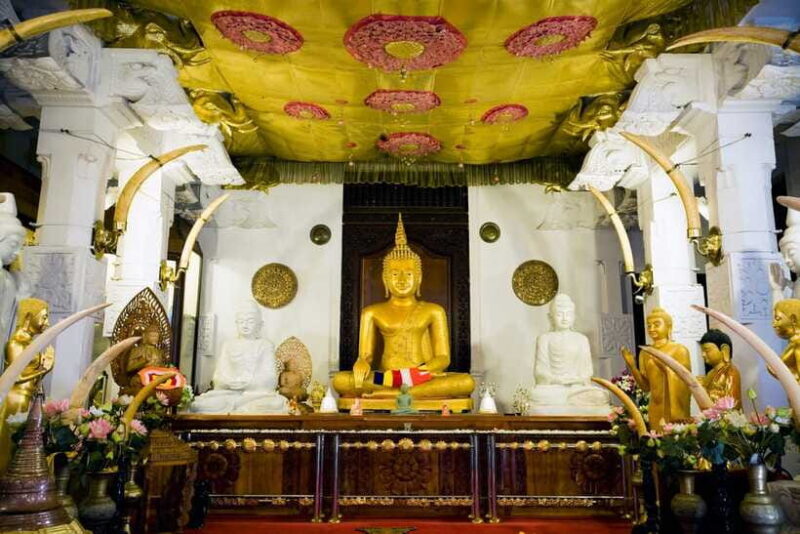From Colombo: 2-Day All-Inclusive Kandy & Nuwara Eliya Tour - Who Would Love This Tour?