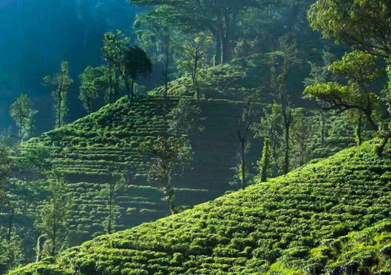 From Colombo: 2-Day Nuwara Eliya, Kandy, and Sigiriya Tour - FAQ about the 2-Day Nuwara Eliya, Kandy, and Sigiriya Tour