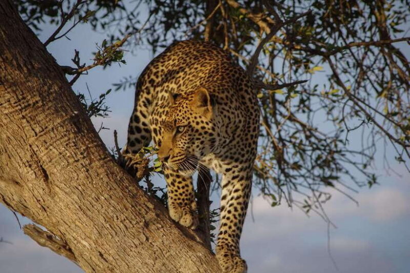 From Colombo: 2-Day Southern Coast Wildlife & Heritage Tour - Key Points