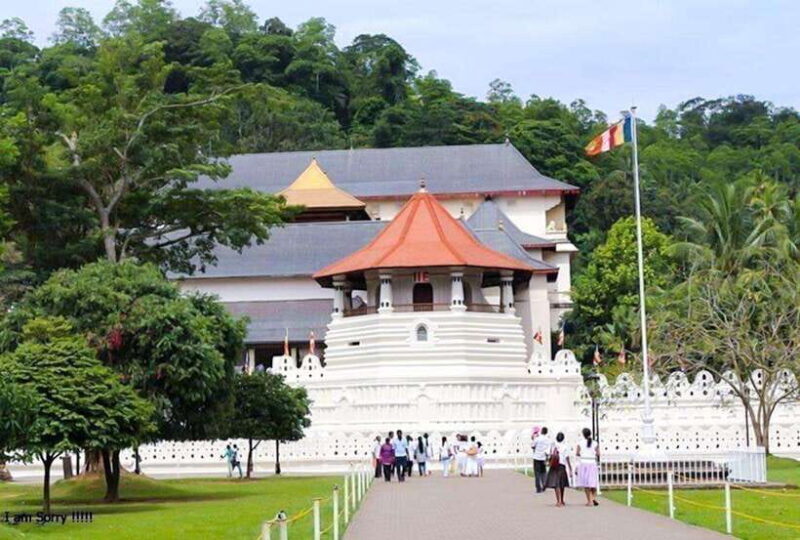 From Colombo: 2-Day Tour to Nuwara Eliya and Kandy - Why Choose This Tour?
