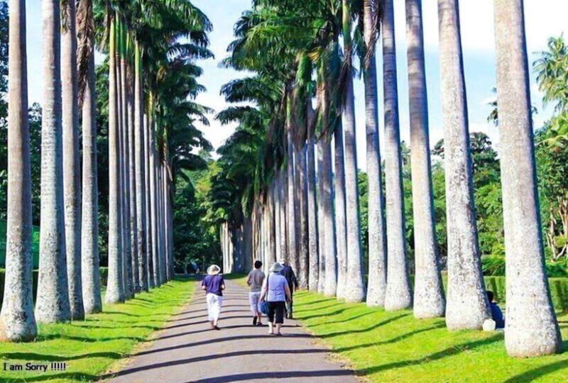 From Colombo: 2-Day Tour to Nuwara Eliya and Kandy - FAQs