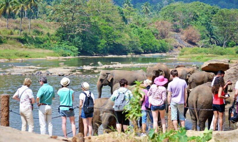From Colombo: 4-Day Hill Country Tour with Train Ride - An Overview of the Itinerary: What’s in Store?