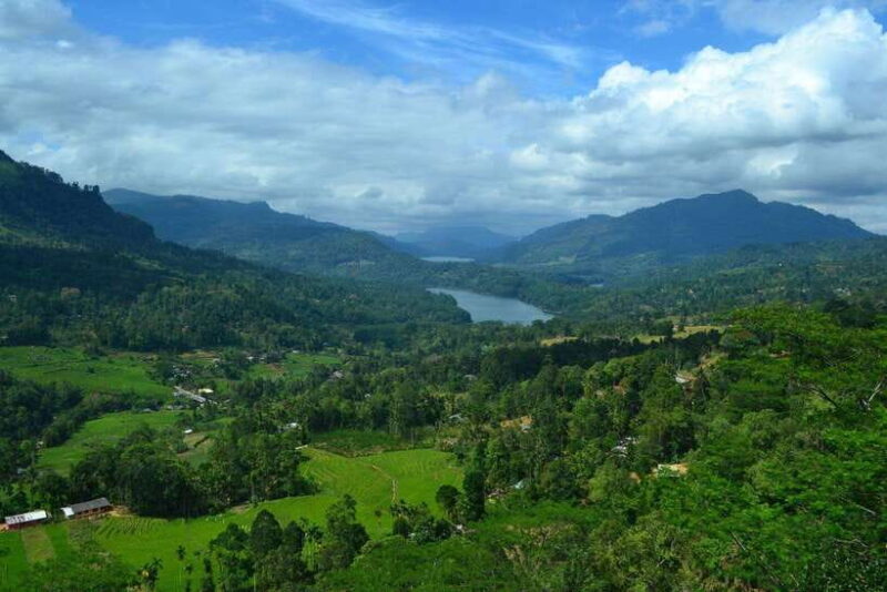 From Colombo: 4-Day Hill Country Tour with Train Ride - FAQ