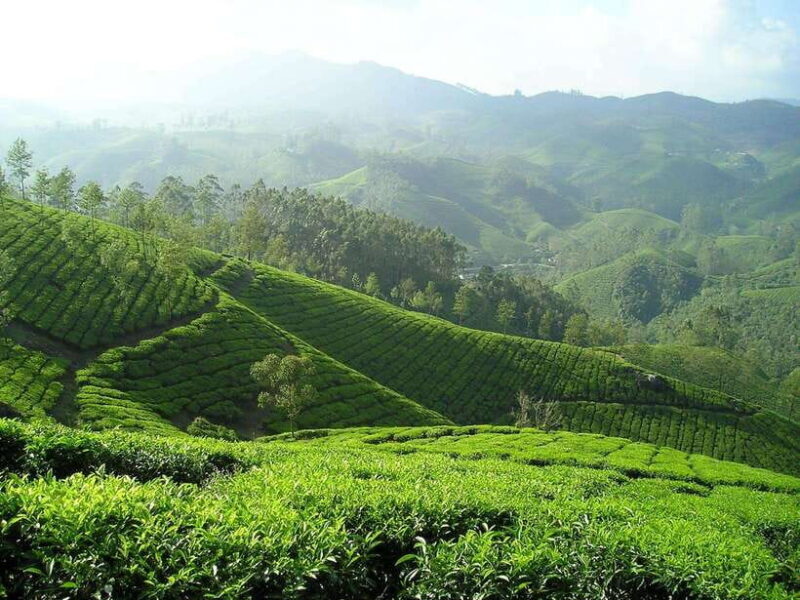 From Colombo: 4-Day Tour with Car, Guide, Meals HB, Hotels - The Sum Up