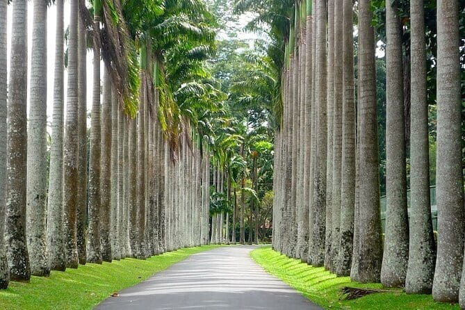 From Colombo Airport to Sigiriya or Kandy Private Transfer - The Sum Up