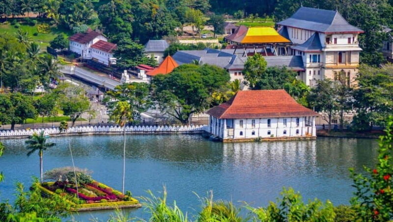 From Colombo: Discover Elephant Orphanage and Kandy Day Tour - An In-Depth Look at the Day Tour Experience