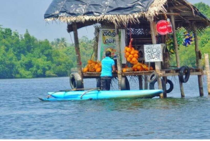 From Colombo: Exclusive Madu River Safari & Turtle Hatchery - Who Would Enjoy This Tour?