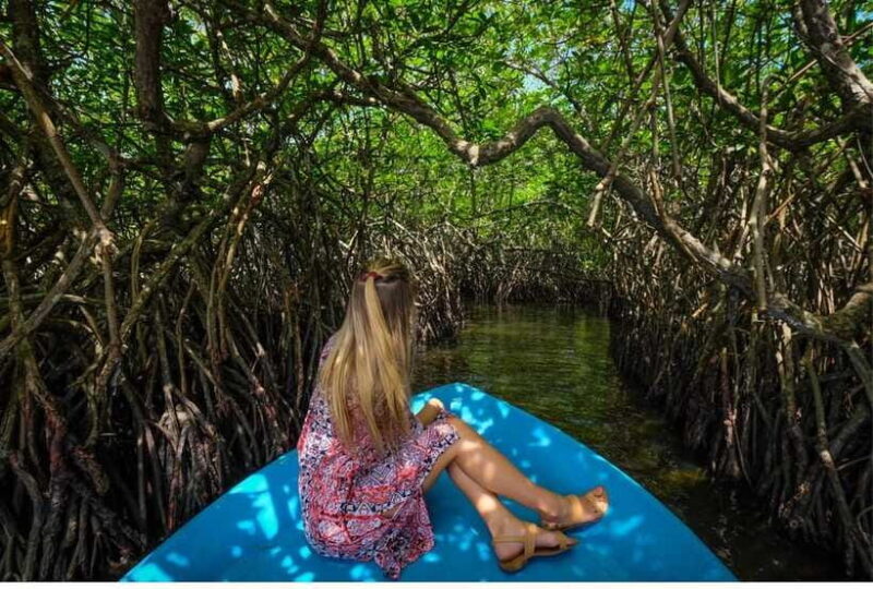 From Colombo: Exclusive Madu River Safari & Turtle Hatchery - FAQ