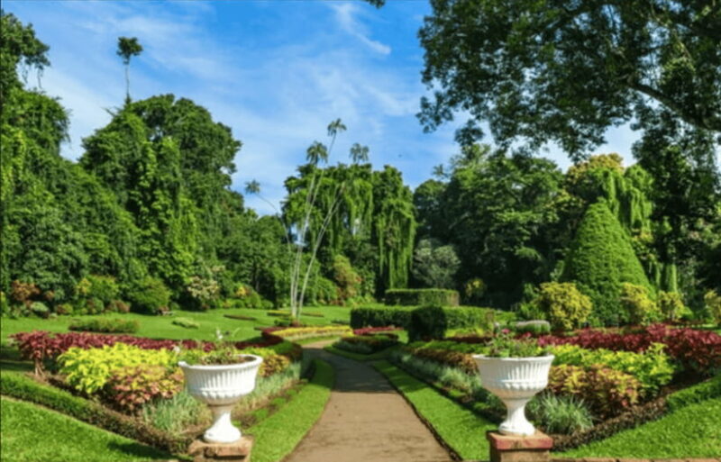 From Colombo: Kandy and Tea Plantations Day Trip - A Deep Dive into the Experience