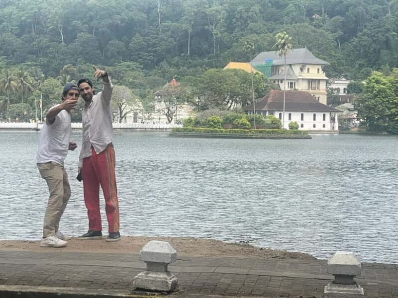 From Colombo: Kandy, Pinnawala and Tea Factory Full-Day Trip - An In-Depth Look at the Tour Experience