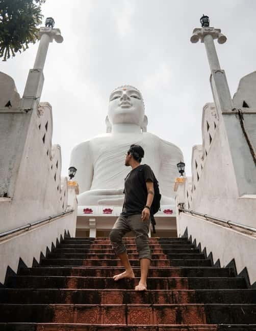 From Colombo: Kandy, Pinnawala and Tea Factory Full-Day Trip - The Sum Up