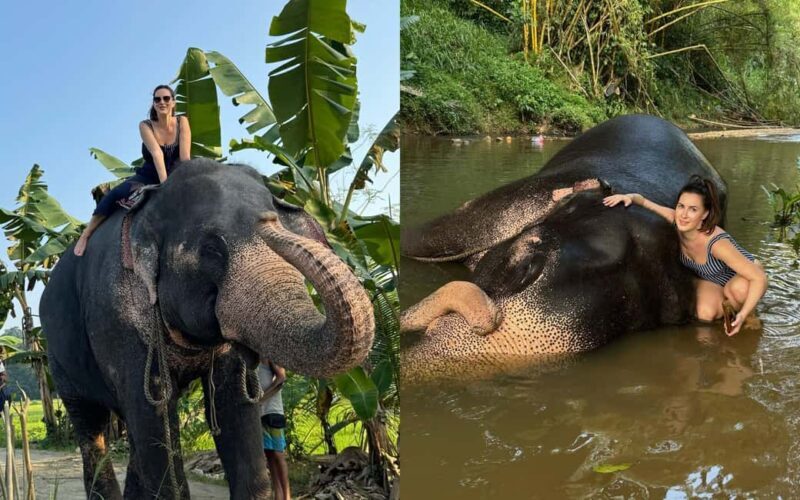 From Colombo: Kandy Temple of Tooth & Elephant Orphanage - The Value and Who It’s Best For