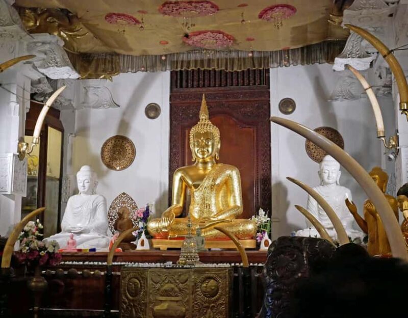 From Colombo: Kandy Temple of Tooth & Elephant Orphanage - Frequently Asked Questions