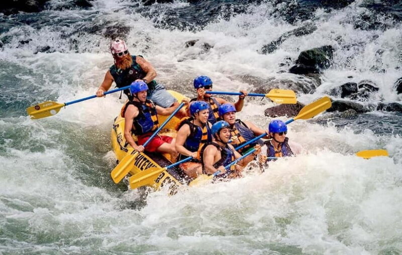 From Colombo: Kitulgala White Water Rafting and Belilena - Key Points
