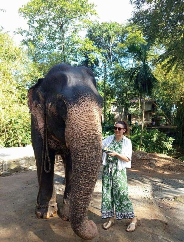 From Colombo or Negombo: Pinnawala, Kandy & Tea Factory Tour - A Deep Dive into the Experience