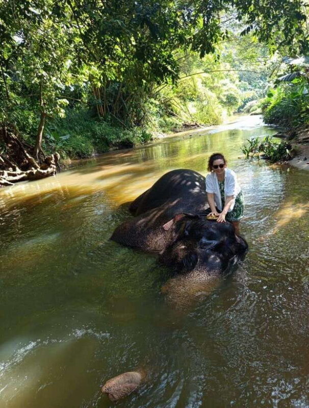 From Colombo or Negombo: Pinnawala, Kandy & Tea Factory Tour - Who Should Consider This Tour?