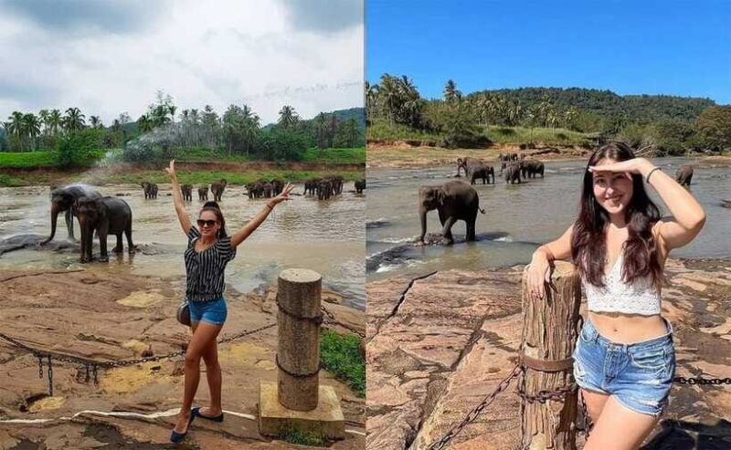 From Colombo: Pinnawala & Tea factory with Kandy Hotel Drop - Final Thoughts