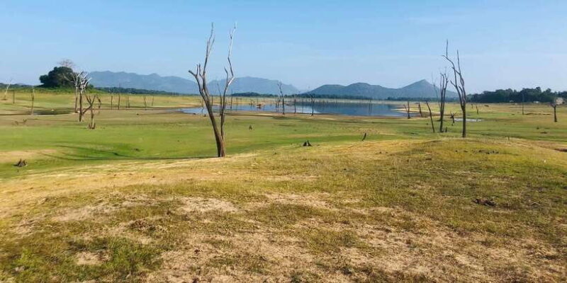 From Colombo: Sigiriya and Dambulla Day Trip - What Travelers Say
