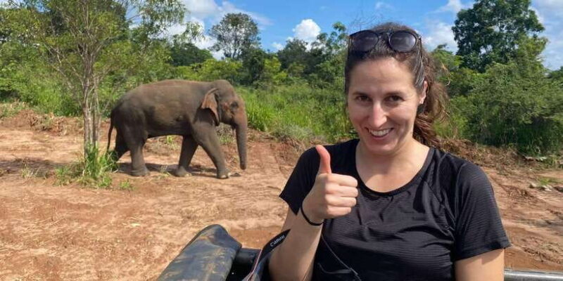 From Colombo: Sigiriya and Minneriya National Park Day Tour - FAQ