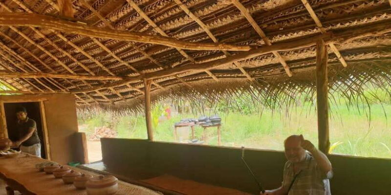 From Colombo: Sigiriya Dambulla & Minneriya park Day Trips - What Travelers Say