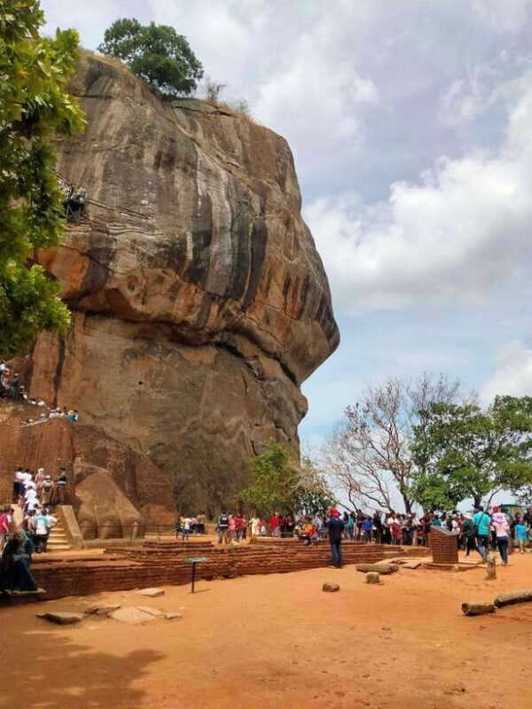 From Colombo: Sigiriya Rock, Dambulla & Minneriya 4x4 Safari - Introduction: Is This Tour Right for You?