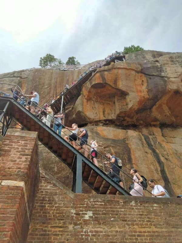 From Colombo: Sigiriya Rock, Dambulla & Minneriya 4x4 Safari - Detailed Breakdown of the Itinerary