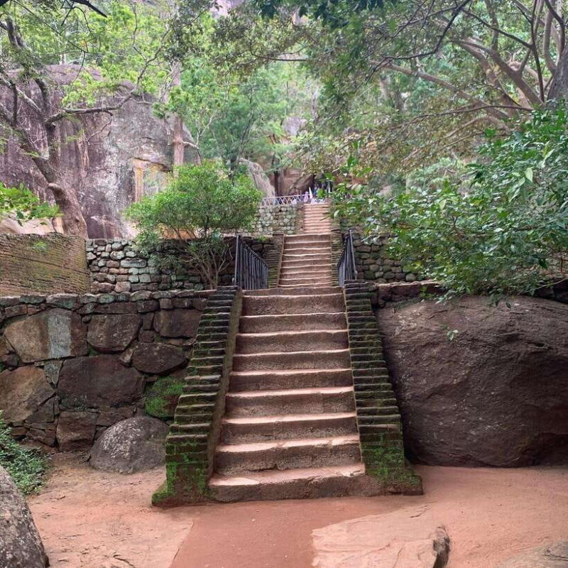 From Colombo: Sigiriya Rock, Dambulla & Minneriya 4x4 Safari - Practical Tips and Considerations