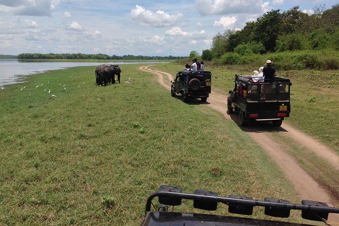 From Colombo: Sigiriya Rock, Dambulla & National park safari - FAQ