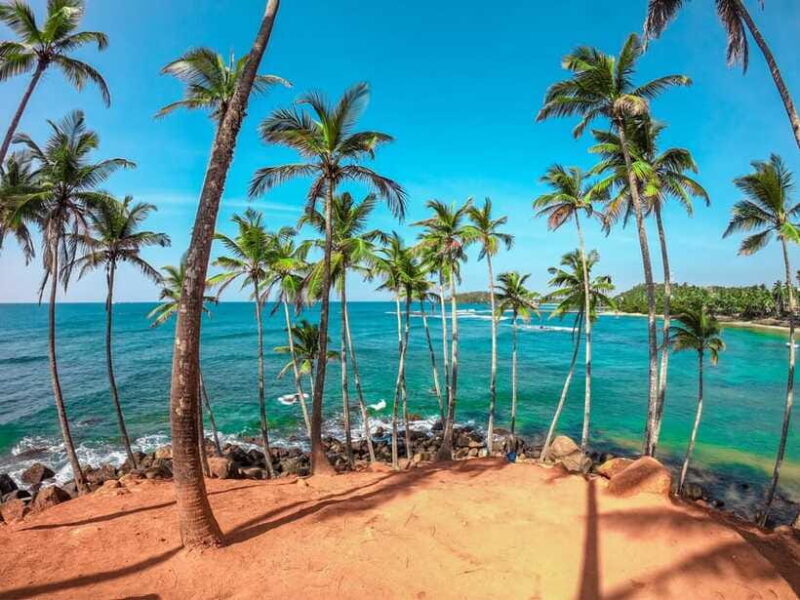 From Colombo to Yala 6-Day Private Trip with 21-Sites - FAQ