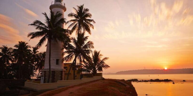 From Colombo: Virgin White Tea and Galle City Tour - Key Points