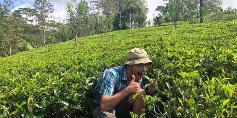 From Colombo: Virgin White Tea and Galle City Tour - An In-Depth Look at the Tour