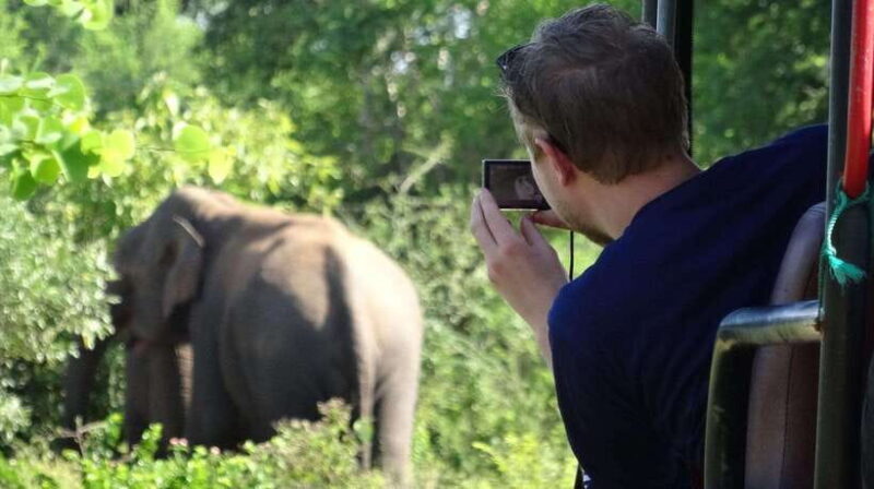From Colombo: Yala and Ella 2-Day Tour with Jeep Safari - What’s Included and What’s Not