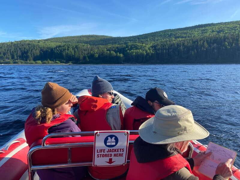 From Corner Brook : Bay Of Islands Island Zodiac Boat Tour - From Corner Brook: Bay Of Islands Island Zodiac Boat Tour