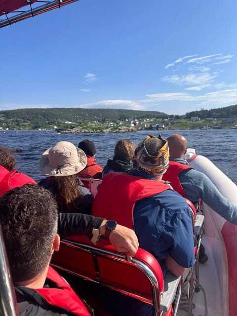 From Corner Brook : Bay Of Islands Island Zodiac Boat Tour - Who Should Consider This Tour?