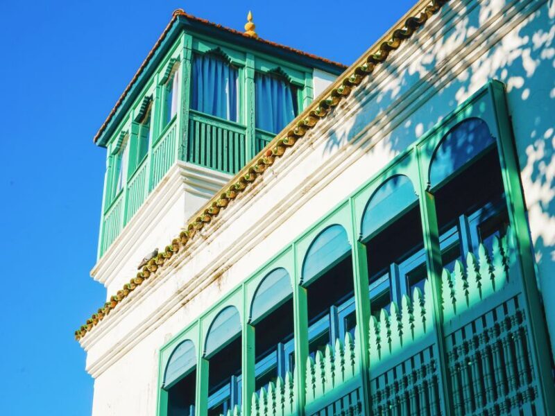 From Costa del Sol: Discover Tangier on a Guided Day Trip - Starting from the Costa del Sol: Easy boarding and ferry crossing