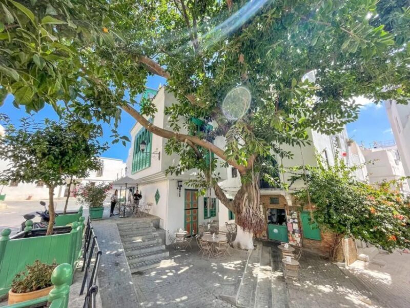 From Costa del Sol: Discover Tangier on a Guided Day Trip - FAQ