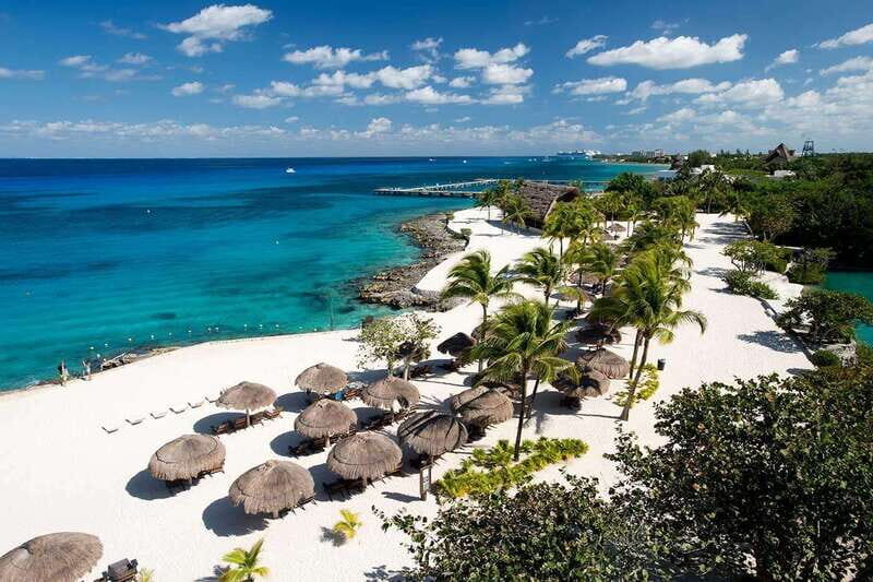 From Cozumel: Chankanaab Park Day pass with Open Bar & Lunch - Key Points