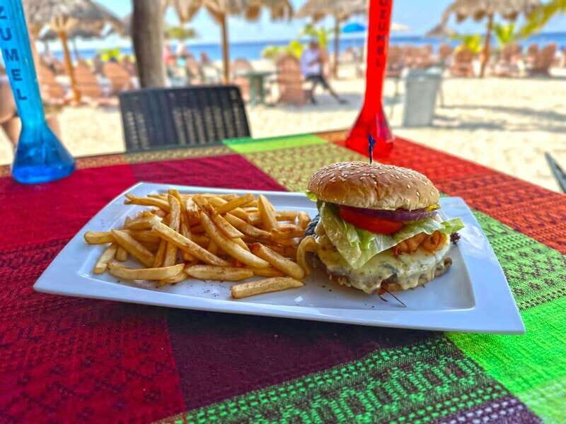 From Cozumel: Chankanaab Park Day pass with Open Bar & Lunch - What to Expect at Chankanaab Park